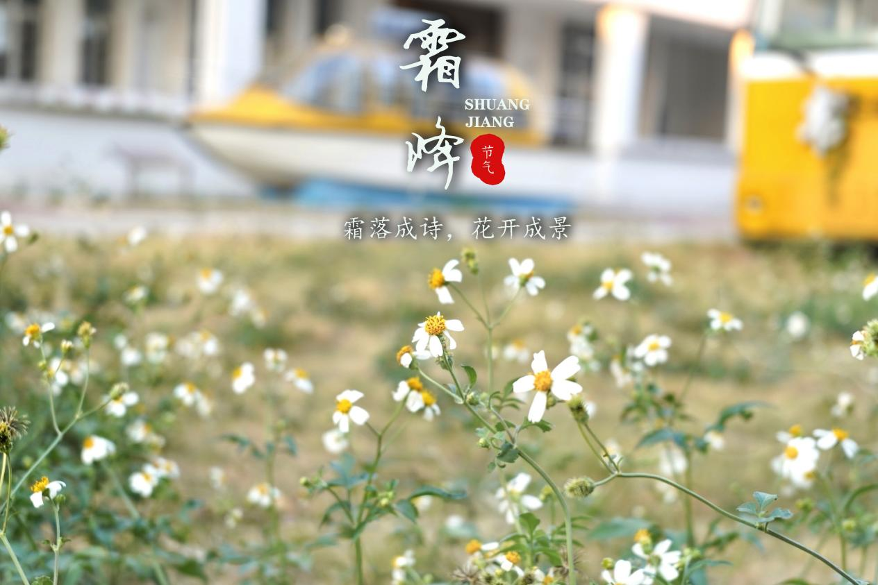 二十四节气——霜降